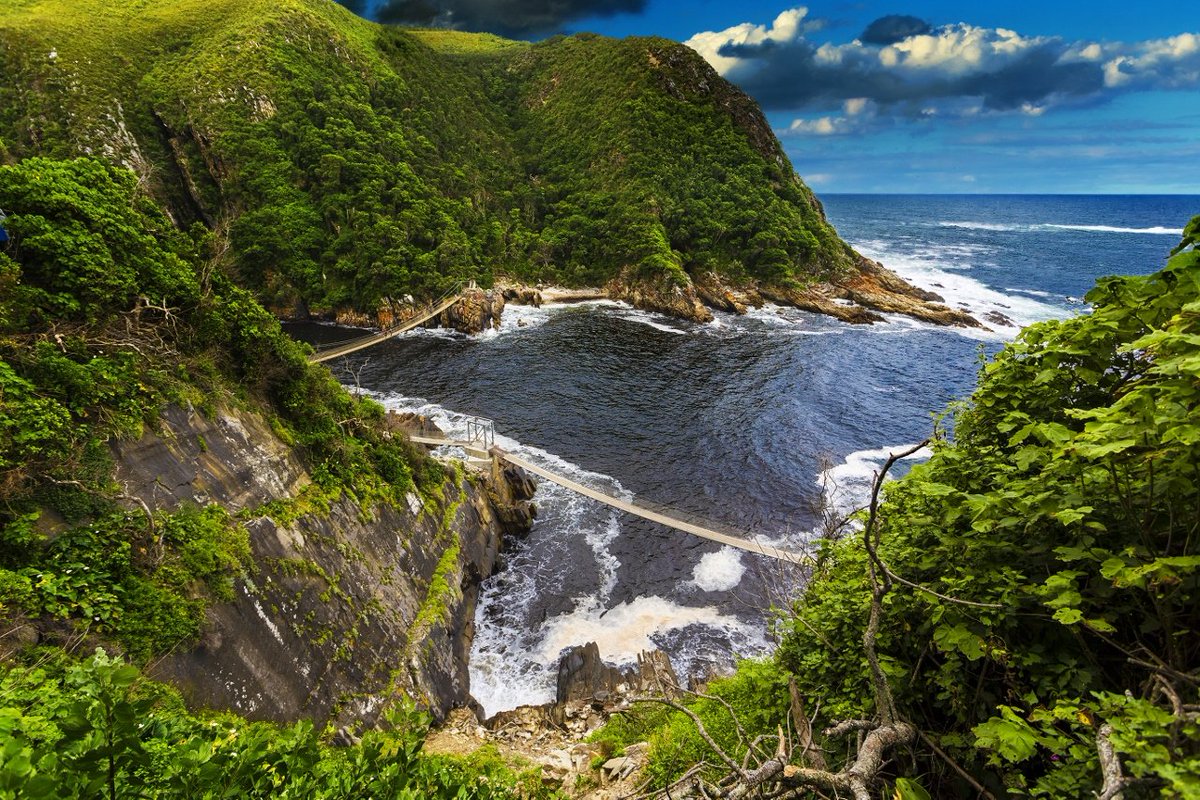 Buga2Kb's tweet photo. @Yfm 
@DJAnkletap 
#SanParks
#ymornings 
Ey @DJAnkletap gotta be garden route national park.
Some sections looking like you are in Thailand. Plus the Journey there is as great as the destination.🔥🔥🔥🔥🔥✊ https://t.co/WdMK8Egt38