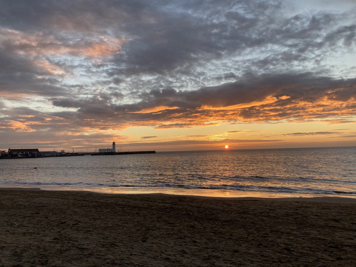 rowantreegarden's tweet photo. Good morning from #Scarborough https://t.co/dR8vfViZWd