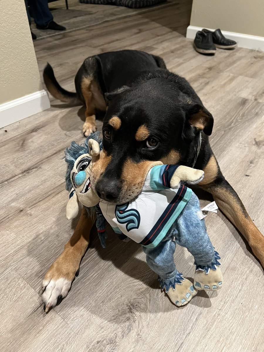 shelbfarm10's tweet photo. Buoy’s #1 fan 💙 @SeattleKraken @SEAbuoy https://t.co/1ikWMVrhYf