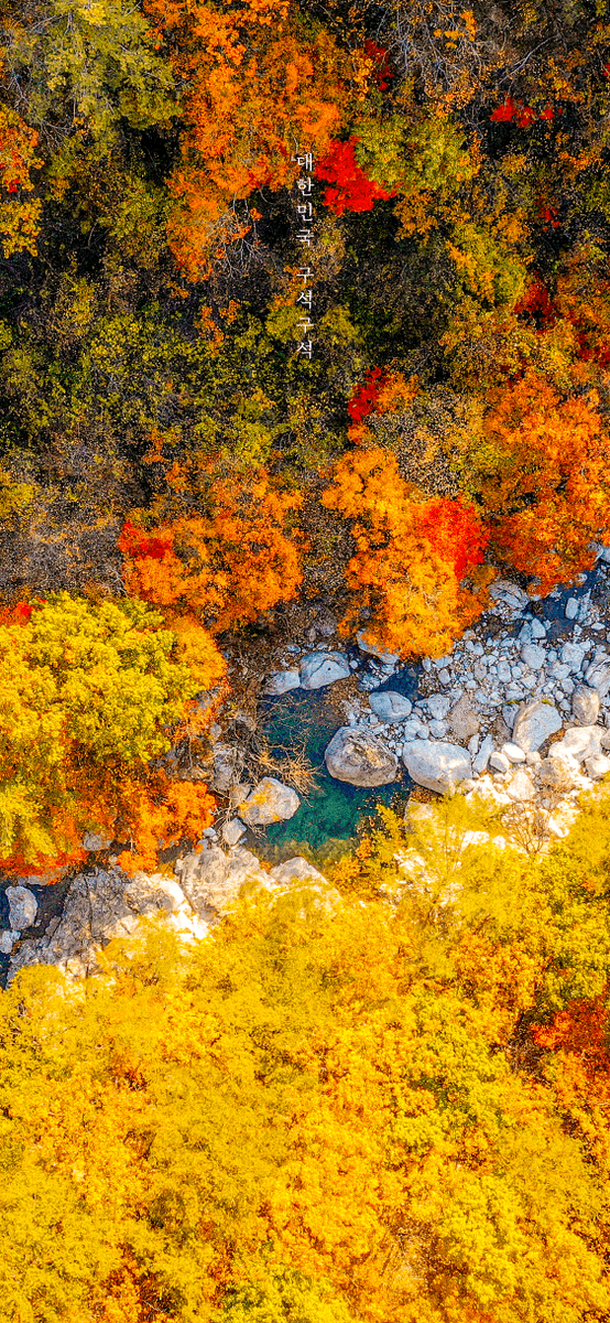 Kor_Visitkorea's tweet photo. 대한민국 구석구석 PICK😎 11월 월페이퍼🍂🍁 등장!
아래 ��진들 저📁장 하고 일상 속에서 여행을 만나요😆

더 많~은 사진과 PC, 테블릿용 월페이퍼 다운은
요기서 가능하답니다! 👉 https://t.co/FXFxR14X7m https://t.co/81azhlvm22