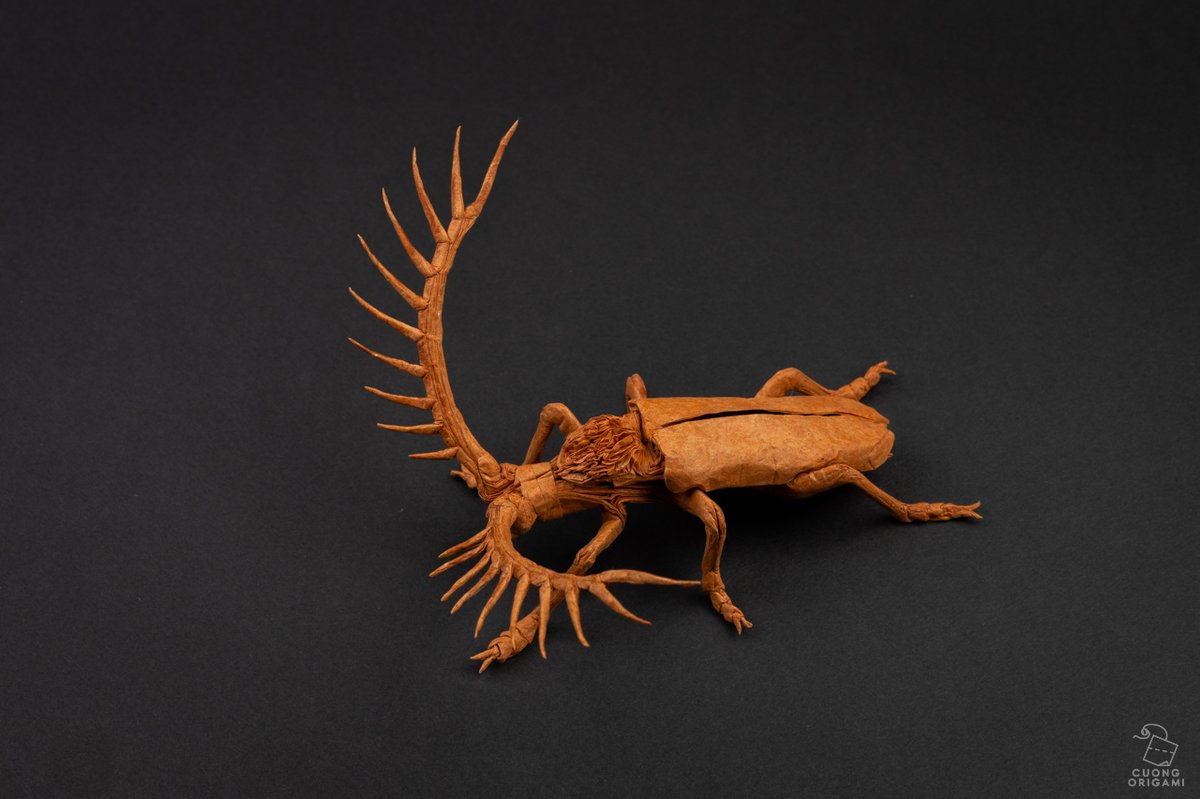 Cuong NGUYEN tweet media