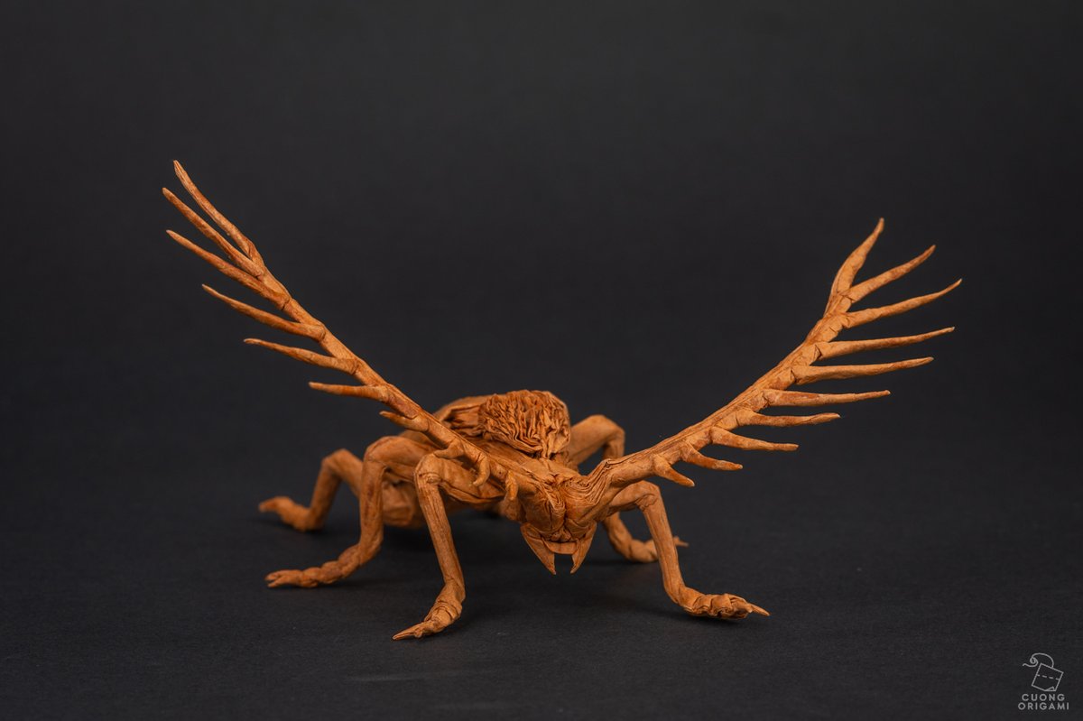 Cyriopalus 3.5
From 56x56cm uncut square