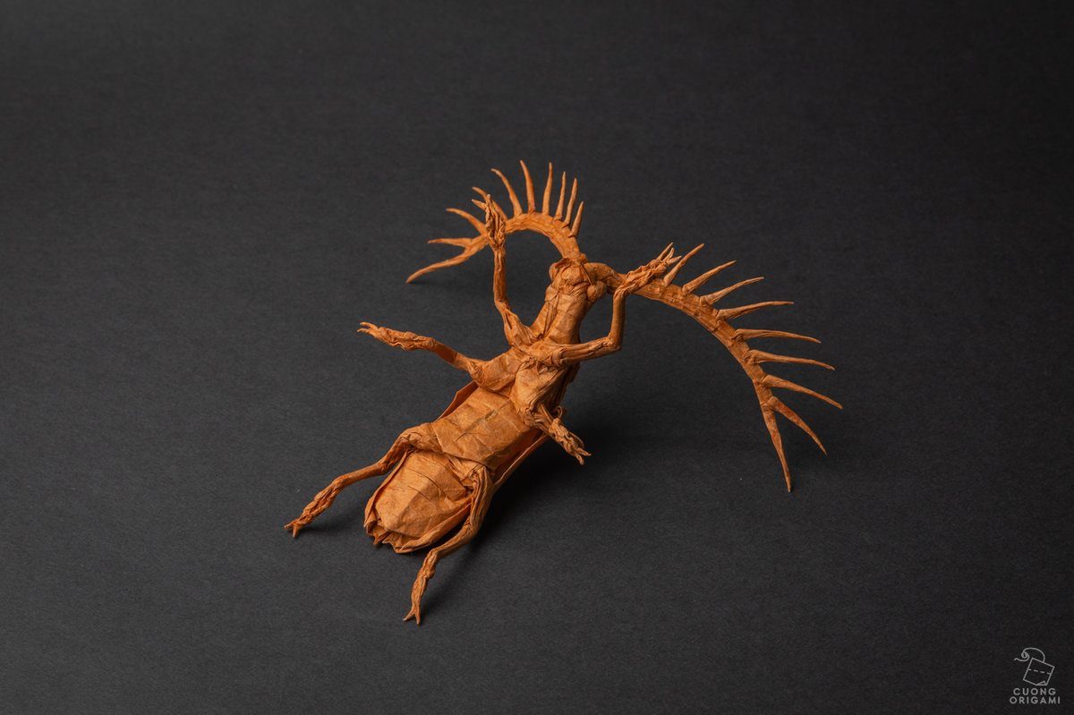 Cuong NGUYEN tweet media