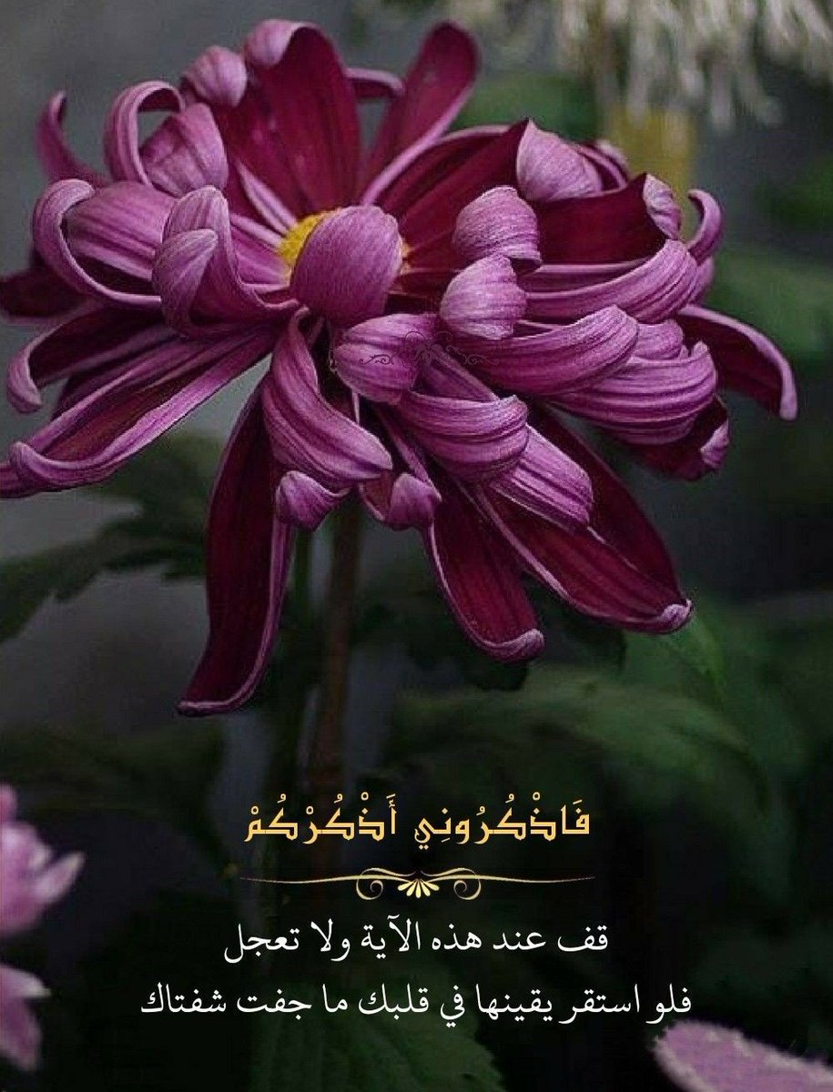 🌸

سُبْحَـــااانَ اللهِ وَ الحَمْدُ للهِ وَ لَا إلَهَ إلَّا اللهُ
وَ اللهُ أكْبَرُ وَ لَا حَوْلَ وَ لَا قُــوَّةَ إلَّا بِـ الله
🕊🌸