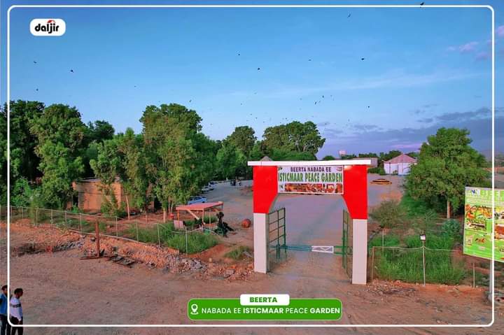ShaklePwoy's tweet photo. @M_cawil_muuse beerta nasashada ee istimaarka garden https://t.co/pyLlNIFHk0