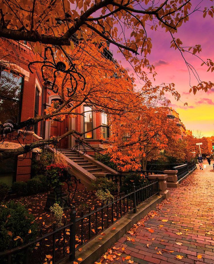 Boston, Massachusetts, United States
📸: Gregory Roache
#UnitedStates🇺🇸  #Boston   #Massachusetts  #AutumnColors  #igersboston #cityscapeboston #Autumn  #howtoboston #massachusettslovers  #traveling  #travelphotography