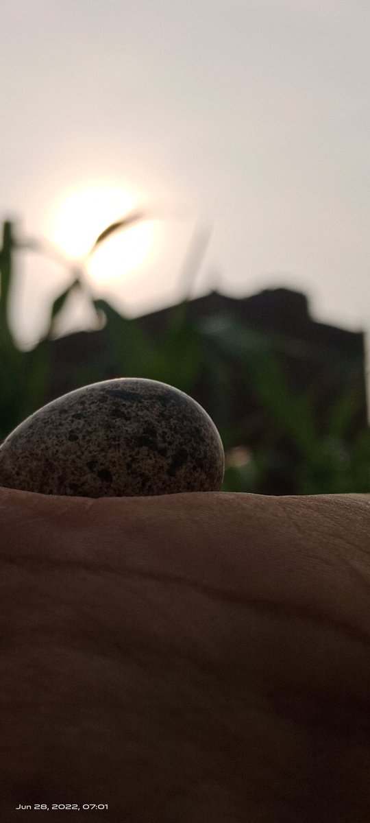 CdbRathor's tweet image. Ye kiska anda he.