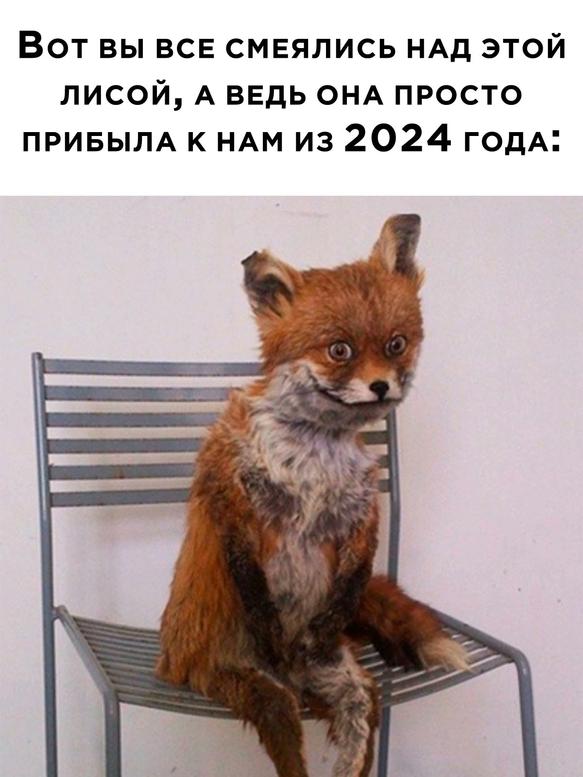 Десяти одиннадцати лиса