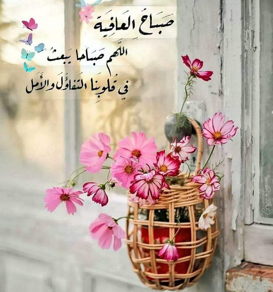 صالح العلي tweet media