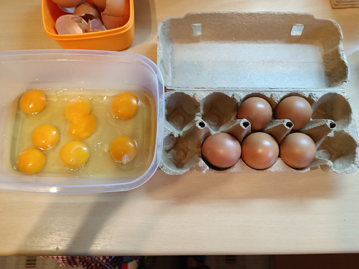 Robert Basic tweet media