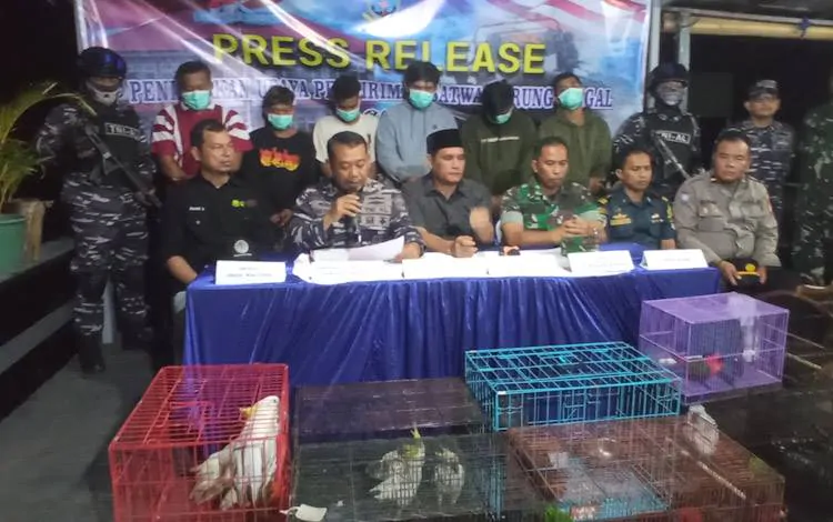 scorpionmonitor's tweet photo. Sebanyak 91 ekor satwa dilindungi asal papua berhasil diberhentikan oleh Pangkalan TNI Angkatan Laut Banjarmasin, Kalimantan Selatan atas kasus penyelundupan satwa dilindungi. https://t.co/UefA4roD7K