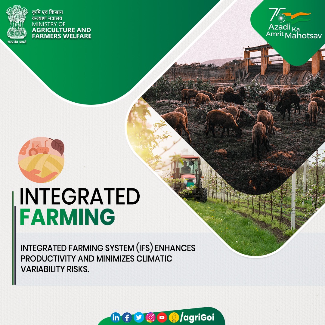 Integrated Farming System (#IFS) enhances productivity and minimizes climatic variability risks. #agrigoi #agriculture #integratedfarming #livestock #naturalfarming #organicfarming #आत्मनिर्भर_किसान #आत्मनिर्भर_कृषि @PIBAgriculture