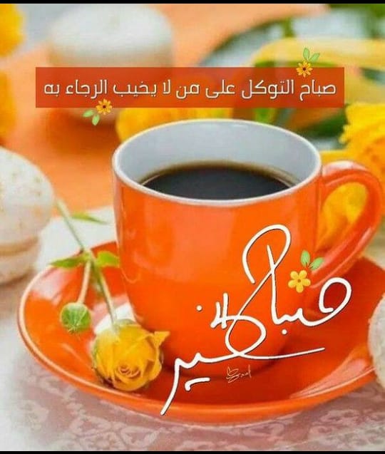 aa___ml6's tweet photo. #دعم_امل

حسابات جميله ترد المتابعه

👇🌼🌼👇

@d91214

@waleedalyafy

@ommmmo55

@dahoom__9

@mmll737373

@Magoood_340

@GwdlScJq0ATaYJn 

#امل25k 

#صباح_الخيرᅠ 

. https://t.co/pcIXUzwmDu