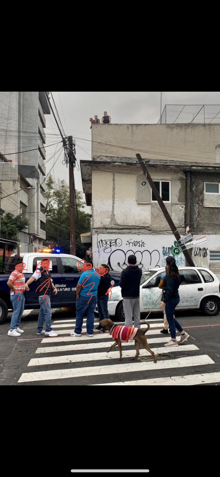 @Twitube_123 急勾配もなく、普通の角でポリスが予測不可にコーナーの家に突っ込み壁に穴をあけ、電柱が折れて、当の家の家人達は屋上から眺めている、ていうのが今週隣の家での出来事だった平和なメキシコシティの一コマです。 