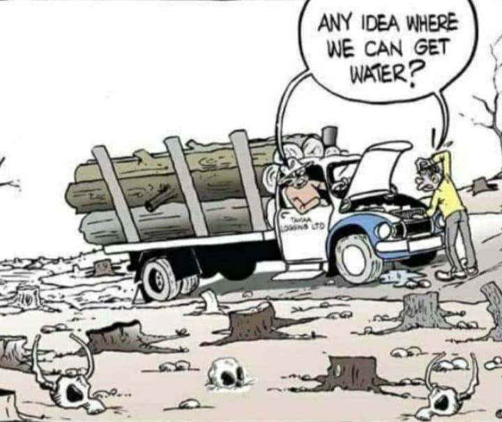 Alliance For Youth ACTION. tweet media