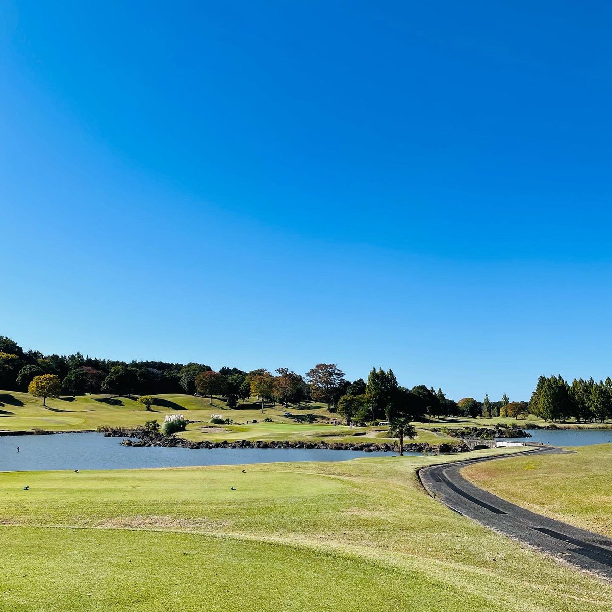 BB_Y's tweet photo. ゴルフ⛳️
今日はG7カントリー倶楽部での
ラウンドでした🏌️‍♂️
快晴でしたが風が強く
前半は耐えることが出来て
後半はアイアンショットもぼちぼち良くてスコア纏まりました😆✌️

#ゴルフ 
#G7カントリー倶楽部 
#快晴 
#強風 
#OUT42 
#IN45 https://t.co/mlQhjh5vTD