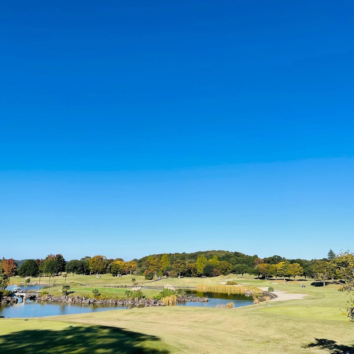 BB_Y's tweet photo. ゴルフ⛳️
今日はG7カントリー倶楽部での
ラウンドでした🏌️‍♂️
快晴でしたが風が強く
前半は耐えることが出来て
後半はアイアンショットもぼちぼち良くてスコア纏まりました😆✌️

#ゴルフ 
#G7カントリー倶楽部 
#快晴 
#強風 
#OUT42 
#IN45 https://t.co/mlQhjh5vTD