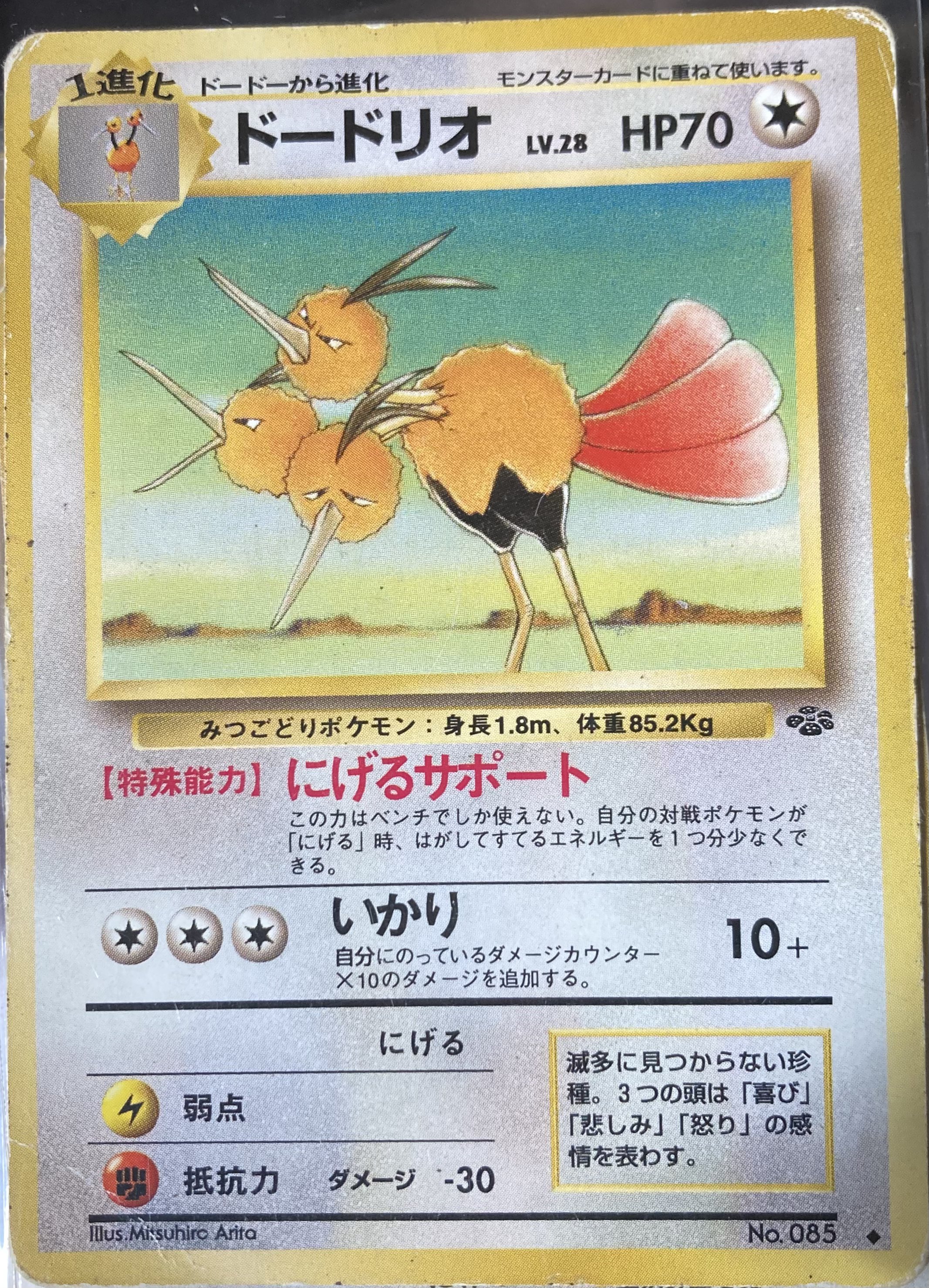 憧れの ポケモンカード ポケカ コレクションファイル ルギア浮上 有田満弘氏 ポケモンカードゲーム 8076円blog Grupostudio Com Br