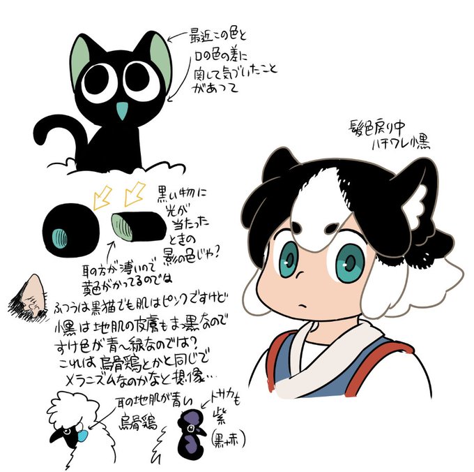 考察系の絵まとめ 