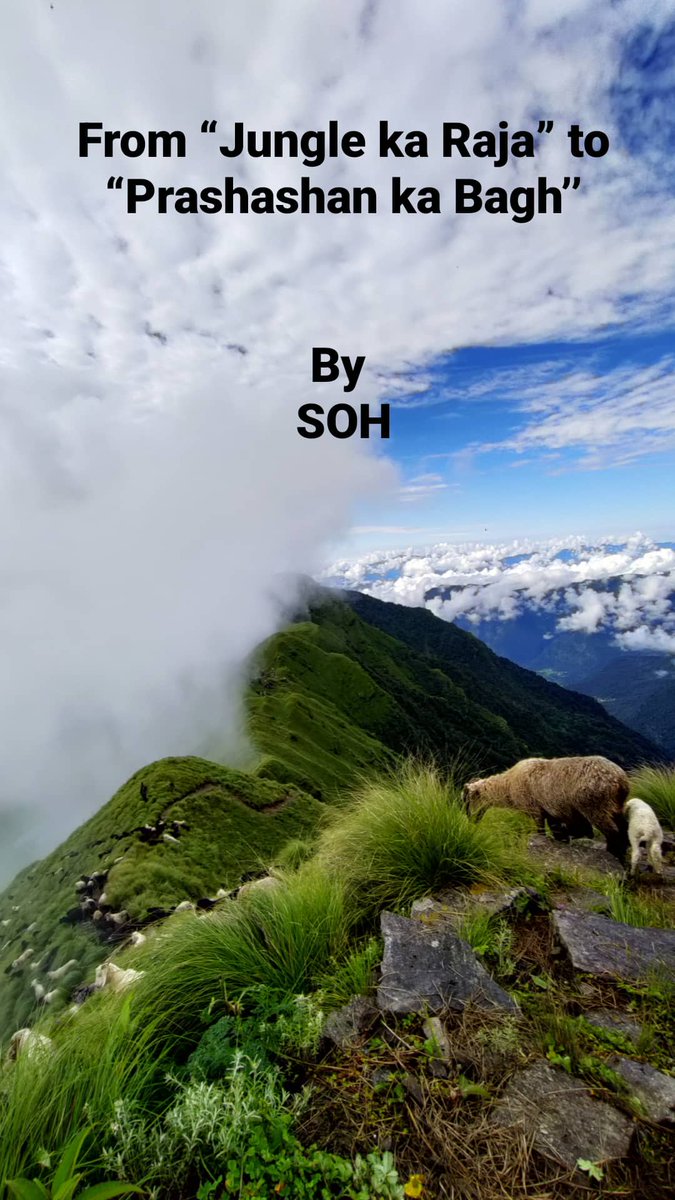 shepherdsofhim's tweet photo. We discussed how the identity of bagh/ #leopards is fluid and gets transformed due to the spiritual #beliefs, #folksstories,#myths, ecological #observations and socio-political dynamics for Palsi shepherds in Rudranath of #uttarakhand, #Himalaya 
Explore @ https://t.co/VqbFvue4Pt https://t.co/aFpqKB43Pl