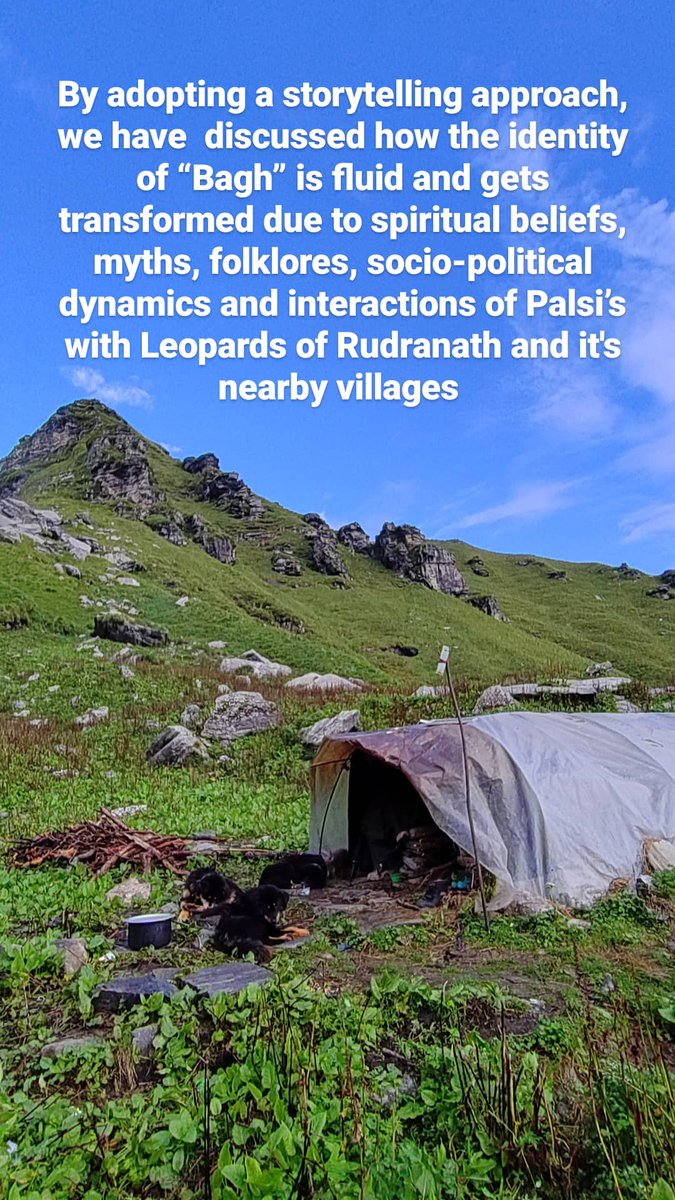 shepherdsofhim's tweet photo. We discussed how the identity of bagh/ #leopards is fluid and gets transformed due to the spiritual #beliefs, #folksstories,#myths, ecological #observations and socio-political dynamics for Palsi shepherds in Rudranath of #uttarakhand, #Himalaya 
Explore @ https://t.co/VqbFvue4Pt https://t.co/aFpqKB43Pl