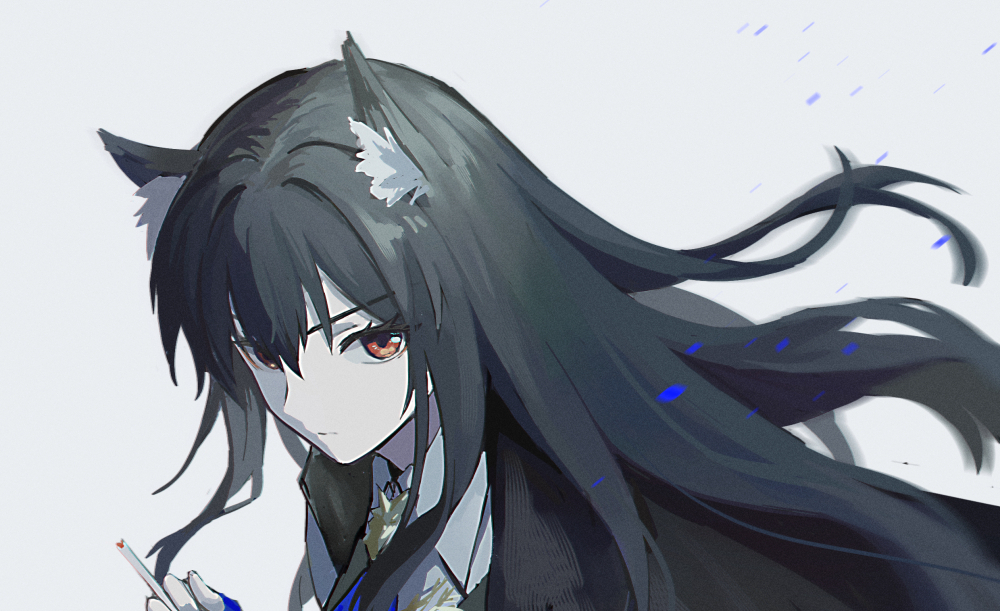 texas (arknights) 1girl solo animal ears black hair long hair looking at viewer simple background  illustration images