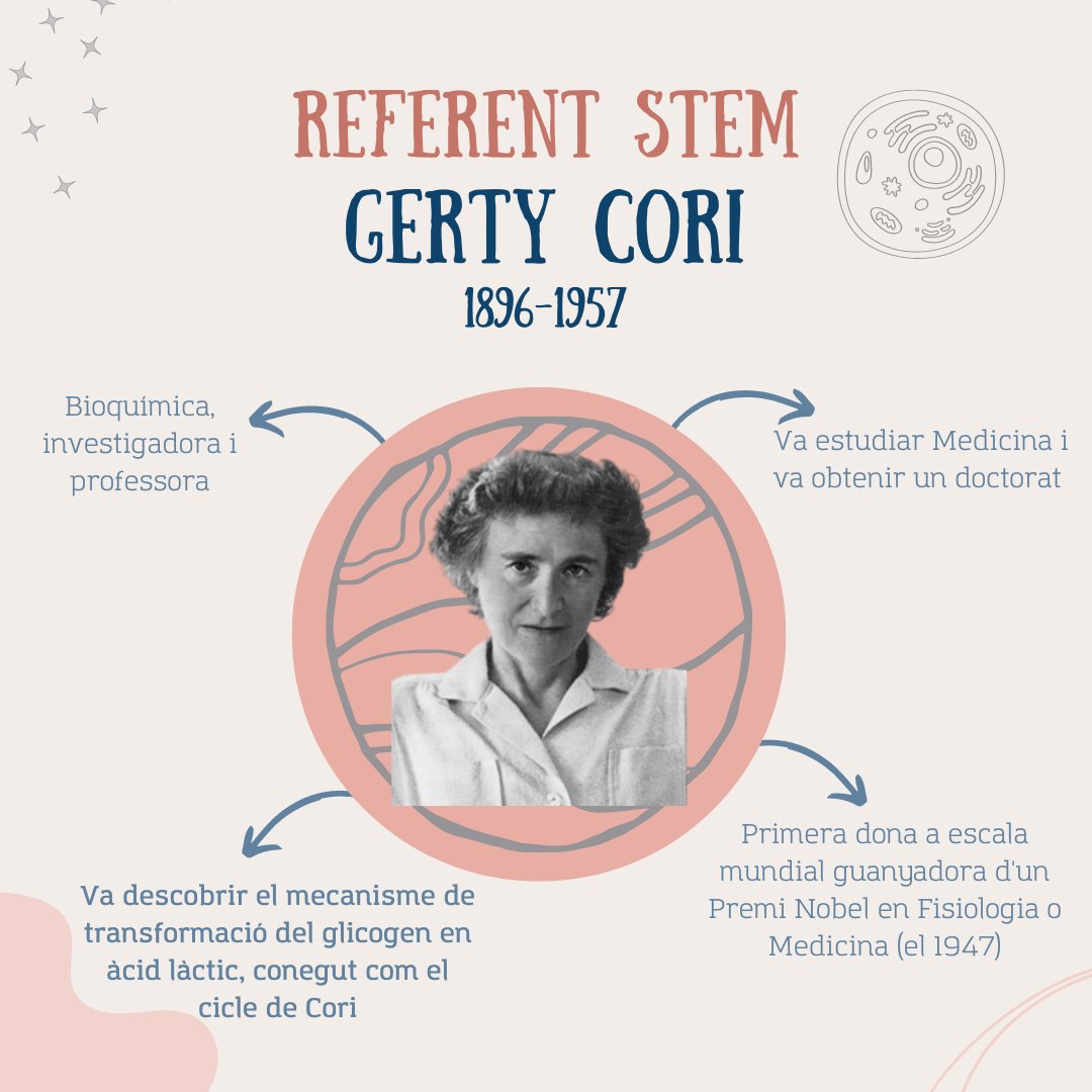 centre_bit's tweet photo. Avui se celebren 65 anys de la mort de la bioquímica Gerty Cori, la primera dona a escala mundial guanyadora d’un Premi Nobel en Fisiologia o Medicina #ReferentSTEM #DonesSTEM https://t.co/DqYy0XxeKJ