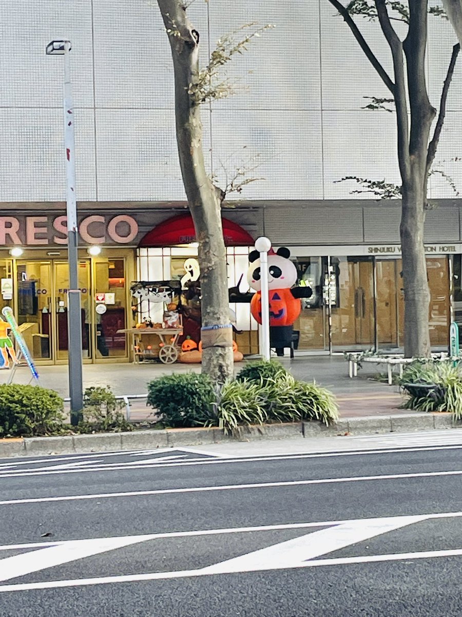 pancoconuts's tweet photo. #パンダはここにもいるぞの会
#findingpanda 
#HappyHalloween https://t.co/EBLOeqPXLr