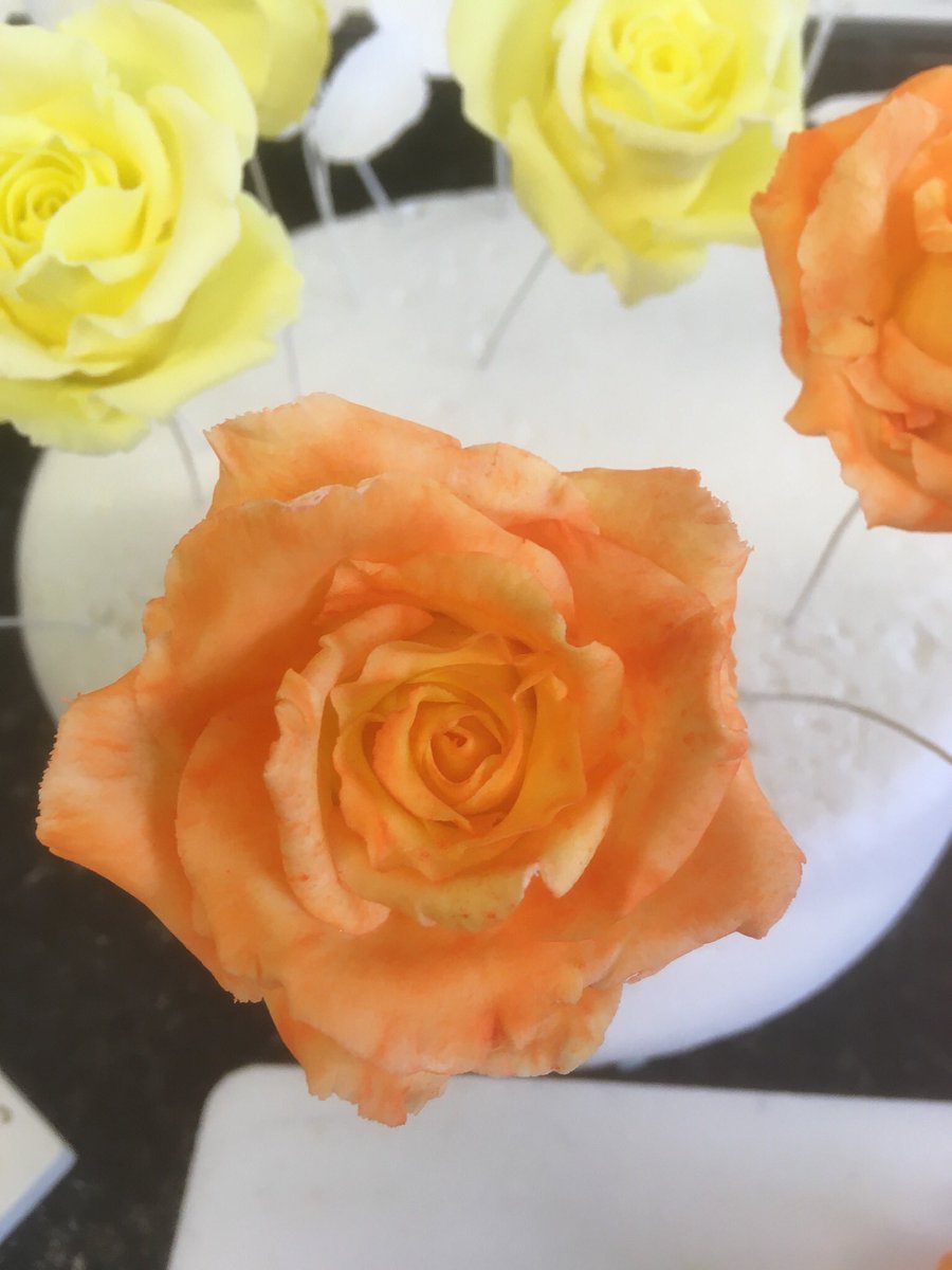 porshamcakesuk's tweet photo. Different colours - different cakes.
Sugar flowers in production.
#sugarflowers #sugarroses #handmade #porshamcakes #custom #sugarart #flowerpaste #wedmag #devonlife #mycreativeweek #becreative #plymouth #devon https://t.co/AM9vBdlkLW