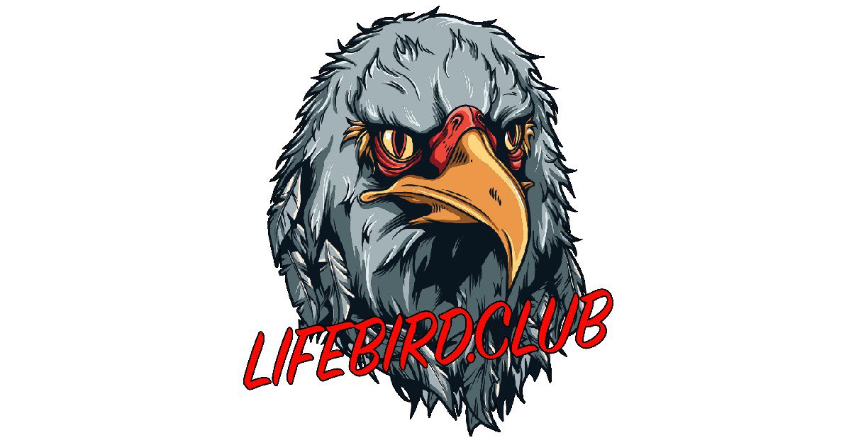 Check out our new Merch Shop. More products coming step by step. <a href="/EYANX_AK/">Eyanx Ak de great</a> <a href="/pikepower/">Pike</a> <a href="/LIFEBIRDTOKEN/">LIFEBIRD</a> <a href="/jeevalifebird/">Jeeva</a> 
LIFEBIRD.CLUB