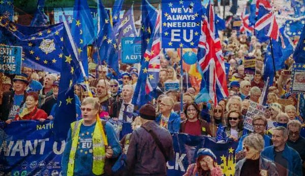 eмeliα tweet media