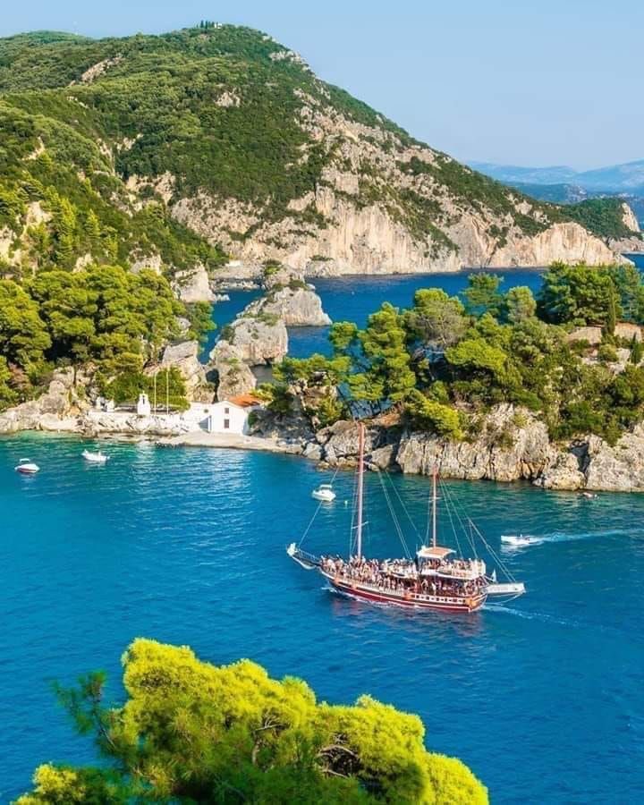 KavaliovaAlena's tweet image. Good morning 🌞🌿❤️