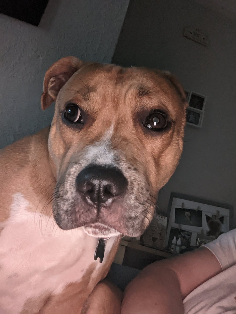 Good morning everypawdy, hope you're all well and have a wonderful wednesday xx