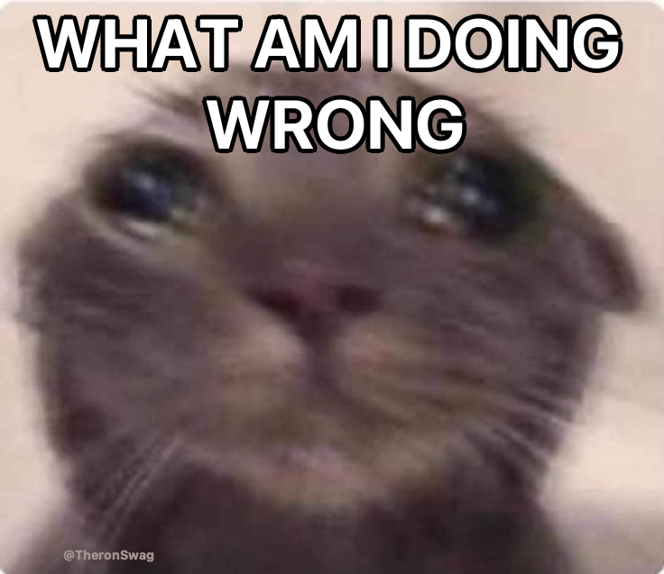 LiterallyMeCats tweet media