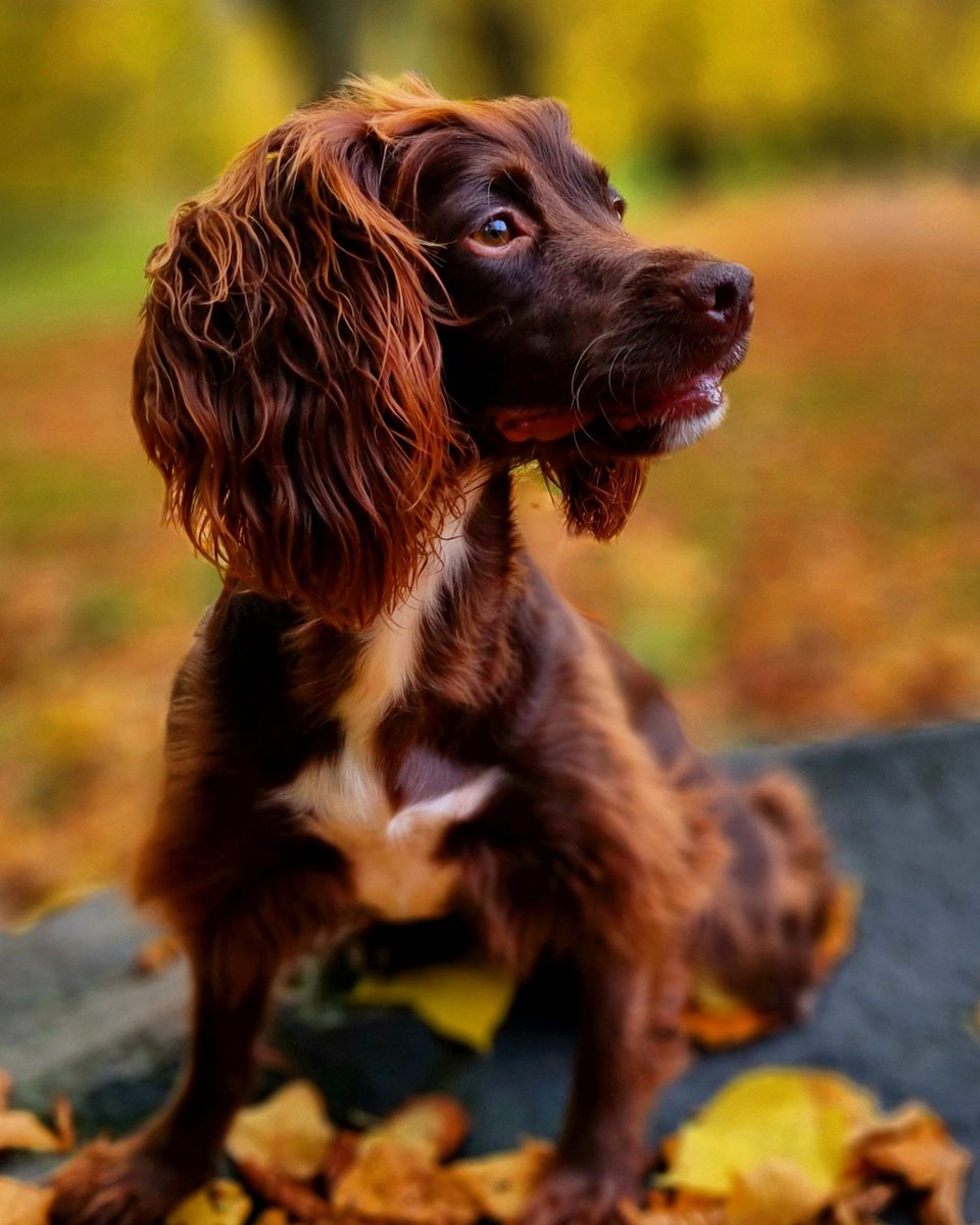 Mike Wood tweet media