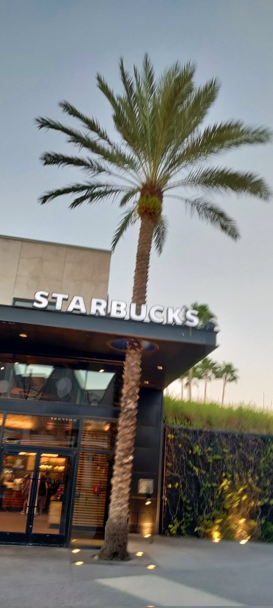 DisneySean's tweet image. 