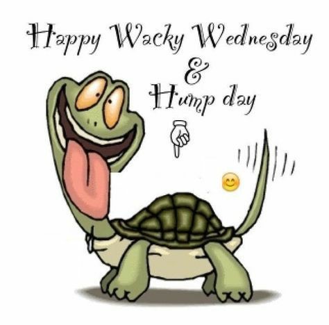 borg_p_m's tweet photo. @rudolf39 mogge lieve lekkere pandabeer 🐼🐼
kom je een fijne humpday/woensdag wensen geniet ervan
❤️🐼Hou van je 🐼❤️wil je nooit meer kwijt 🐼❤️
❤️🐼🥰😘👨‍❤️‍💋‍👨👄💋❣️💝💘🕶️😎🌞☁️🌤️😘🥰🐼❤️ https://t.co/1BJDnuGucM