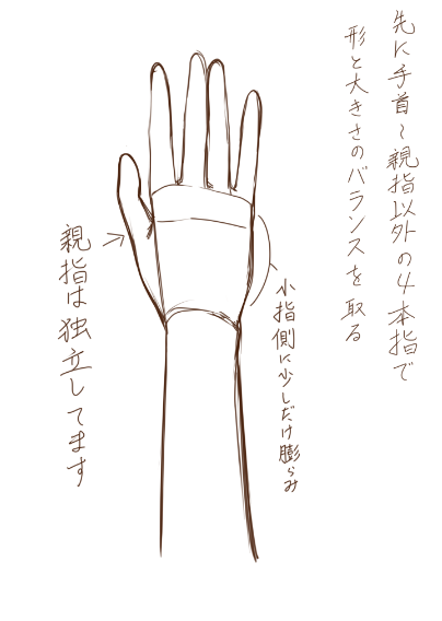 @cubeclub312 ざっくりですけど自分が描く時の感覚です。
親指はマジで手の中で別の生き物みたいに自由度が高いので、最後に付け足してます。5本指より4本+1本として形を作っています。
参考の内の1つになれば幸いです。 
