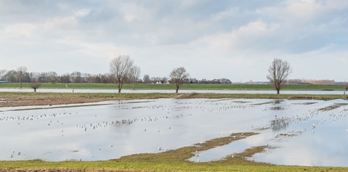 FlanQAcc's tweet photo. Subsidieregeling overstromingsschade 2021 https://t.co/hk5foorcxn https://t.co/WfEfyRxWMV