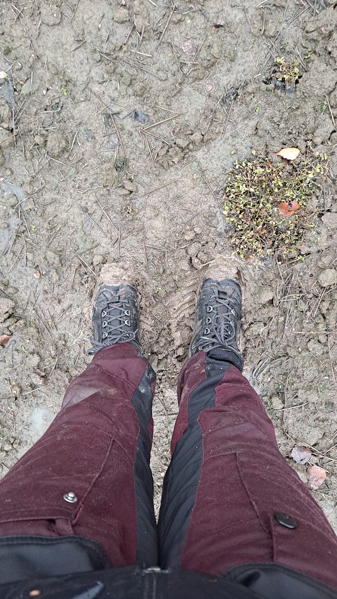 Tuuli Heinonen tweet media