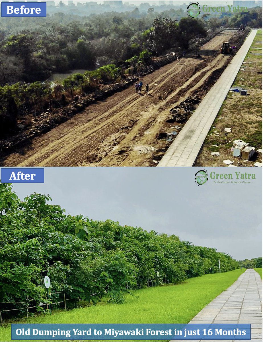 IamTreepathi's tweet image. #Transformation
#DumpingYard to Quality Local #Native #UrbanForest in just 16 Months
#Leachate Lake to #Fresh Rain Water Lake in just a few months

#MiyawakiForest #GreenYatra