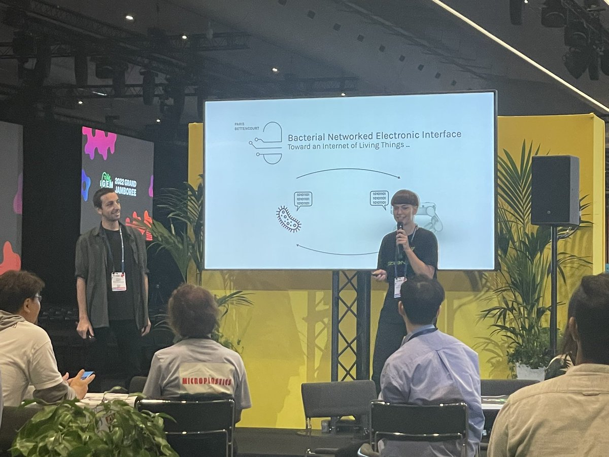 Dule Misevic tweet media