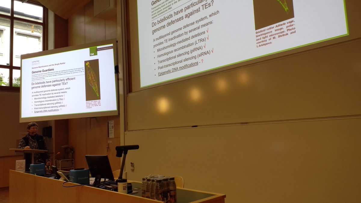 Let the transposition begin! After three years of waiting for this in-person meeting to happen, Irina Arkhipova now talks in her keynote about the wonderful world of rotifer transposons. #UppTransposon2022 #transposon