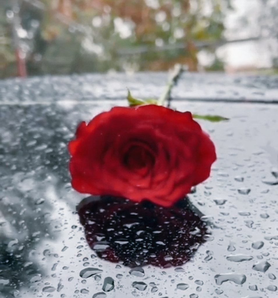 َ
ورجعت الشتوية  🌧️🌦️

لمن يعشقون صباحات الشتاء الباردة 
وكوب القهوة الدافئ ...♥️☕️

      #صباح_الخير
َ