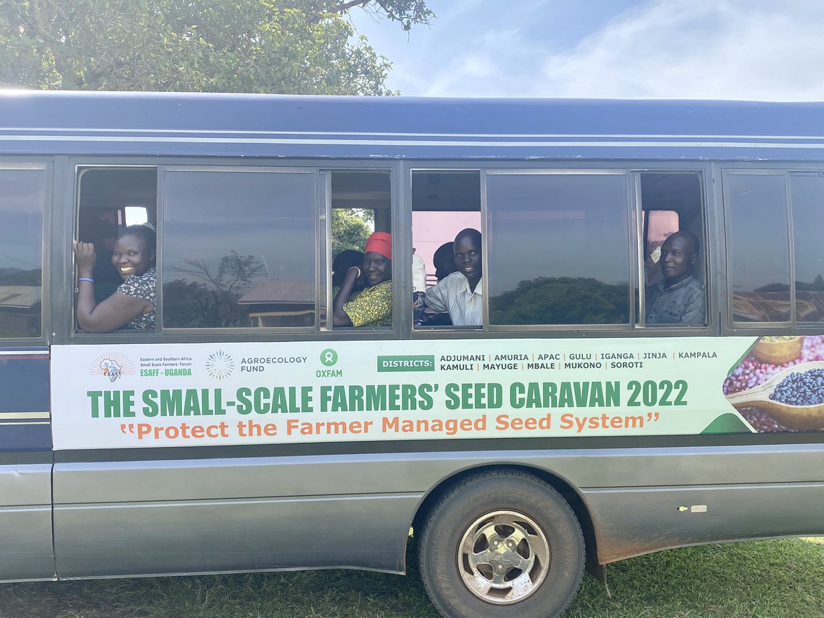 ESAFFUG's tweet photo. Today, the #SeedCaravan22 is travelling through the districts of Mbale, Kamuli, Iganga,Jinja as small-scale farmers deliver their concerns about seeds and a petition to the Ugandan government over the registration of their seed varieties.
#ESAFF20
#AgroecologyNow
#SeedWeek2022 https://t.co/wyQsZh57Wk