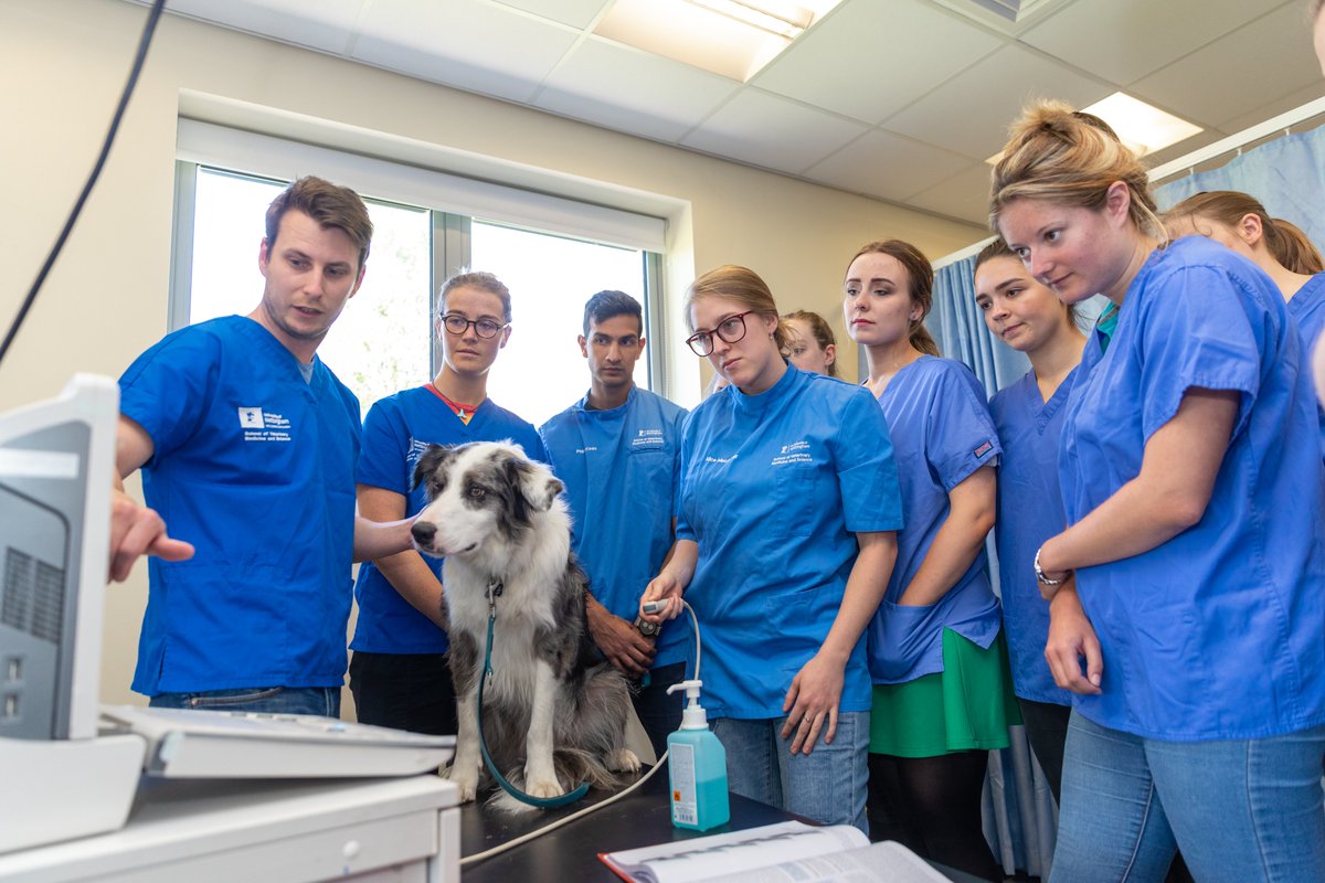 Huge congrats to the Vet School @NottinghamVets @UoNFacultyMHS on earning prestigious accreditation from @AVMAvets This latest accolade means that the university’s veterinary graduates can now practise anywhere in the world. Full story ▶ ow.ly/jAXF50Ll26U