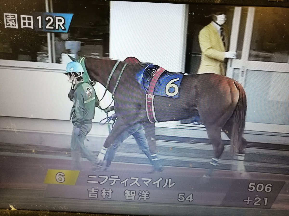 さすがに力量差がハッキリしていたのもあるけど、プリンサンをすぐには振り切らずに利用して、ブランショセットに余計なコースロスを被らせる辺りのリーディングジョッキー様の手腕よ。  