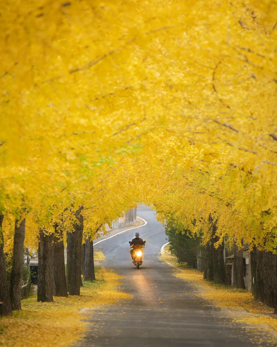 Courtne01902351's tweet image. #natural