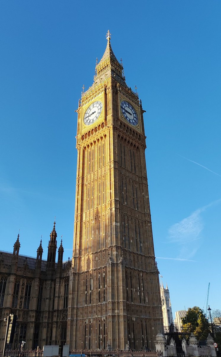 Nick Reed tweet media