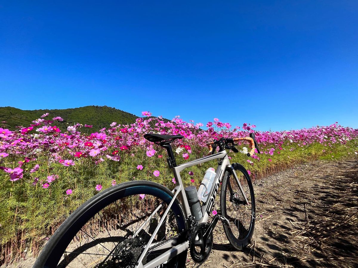 _tossy_'s tweet photo. 本日はお日柄もよく、仕事も休みだったので、そりゃ走るさ。

#ロードバイク #roadbike #BMC #BMCTEAMMACHINE #BMCSLR #BMCTEAMMACHINESLR #CYCOLOGY #サイコロジー #ポタリング #ポタリングフォト https://t.co/2iTNkQczCx